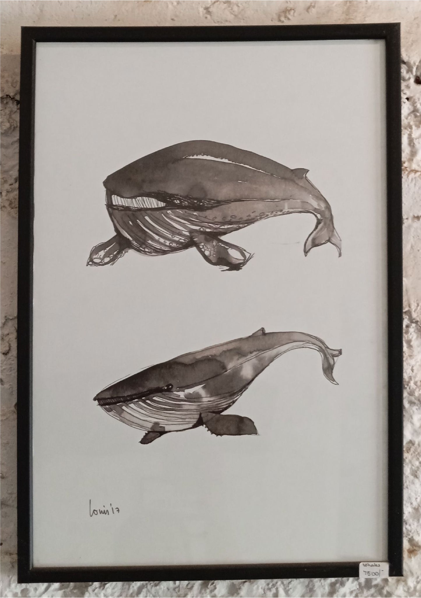 whales