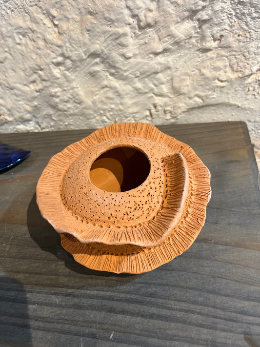 Coral