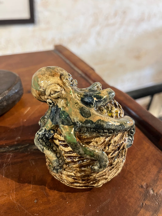 Octopus