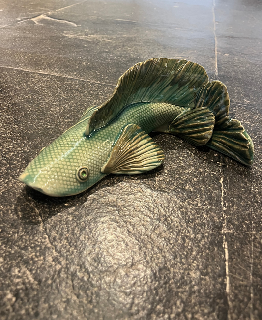 Koi Fish