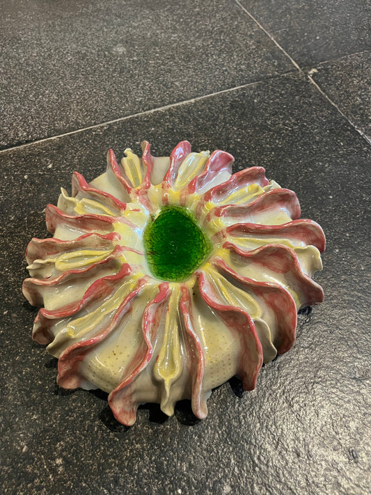 Big Coral